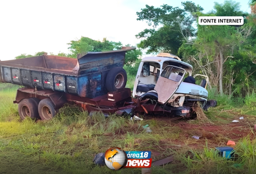 CAMINHÃO BATE EM BARRANCO, VÍTIMAS SÃO ATACADAS POR ENXAME DE ABELHAS E MORREM NO OESTE PAULISTA