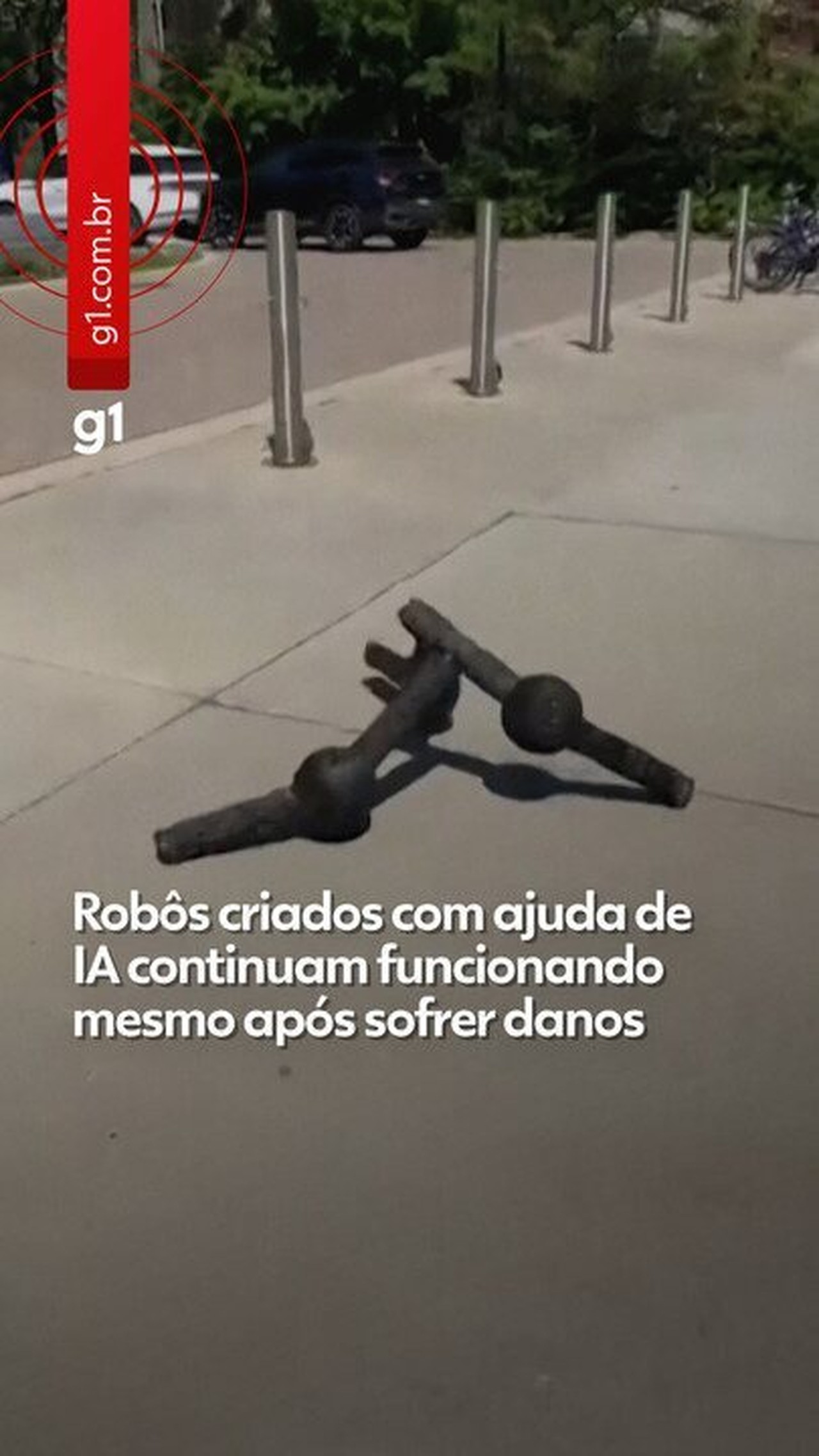 'Metamáquinas': robôs 'diferentões' criados com IA continuam funcionando mesmo após danos