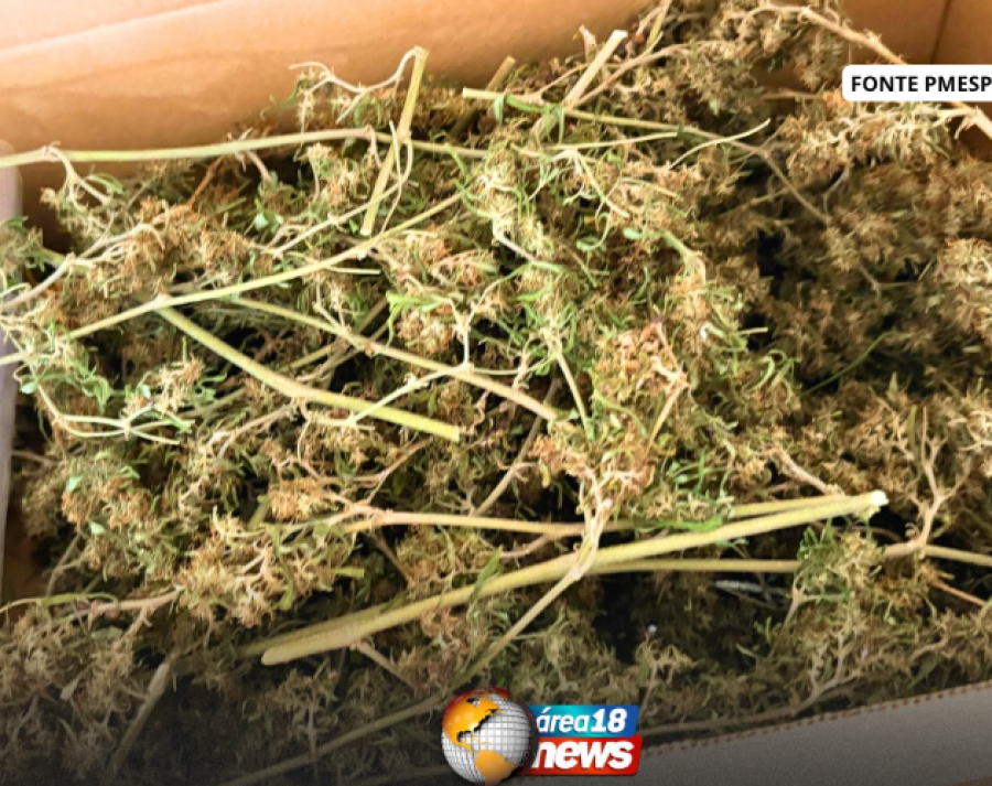 AGRESSÃO CONTRA COMPANHEIRA REVELA DROGAS ARMAZENADAS EM CASA E TERMINA EM PRISÃO EM ARAÇATUBA