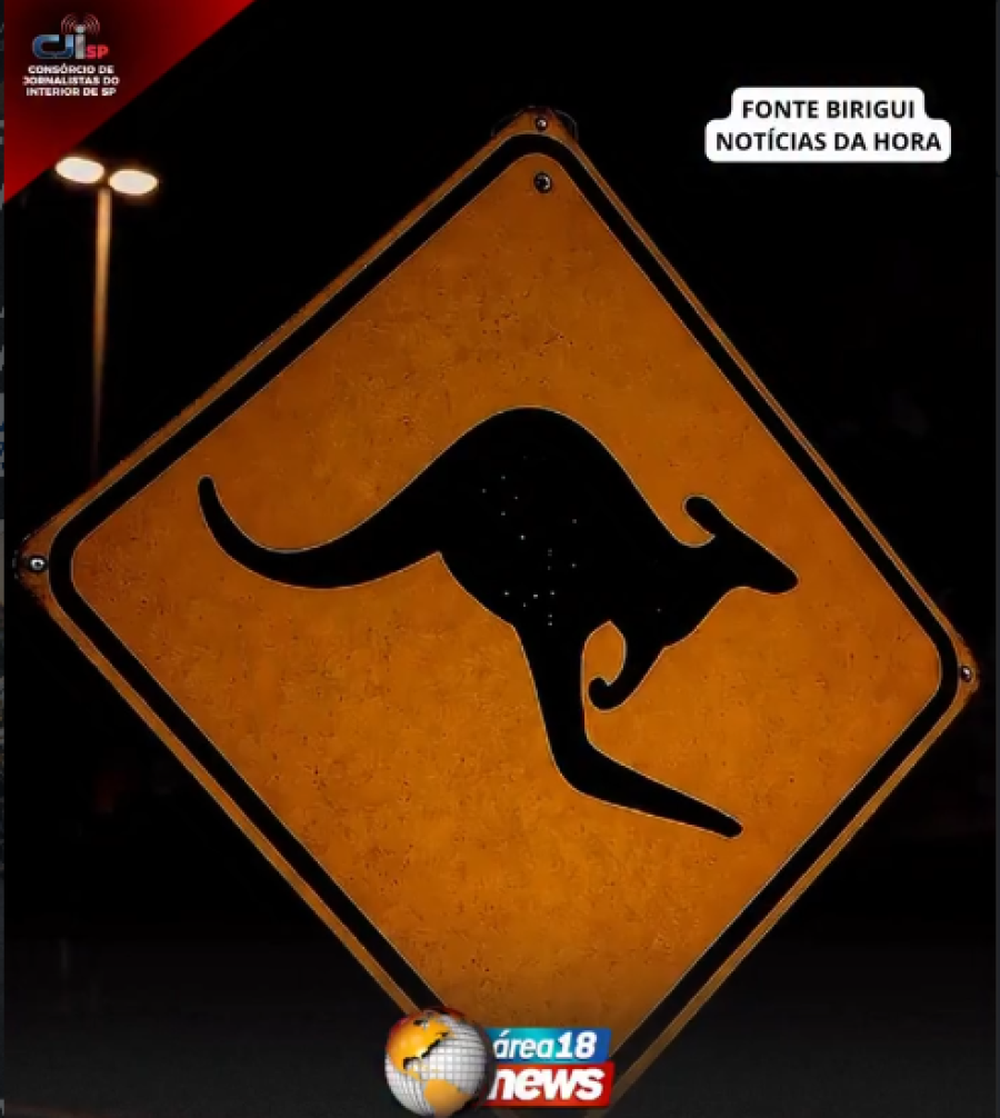 VÍDEO COM CANGURU ANTECIPA E CHEGADA DO OUTBACK É CONFIRMADA EM ARAÇATUBA