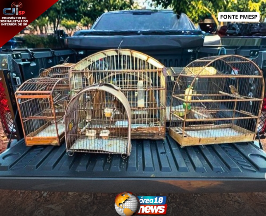 HOMEM É MULTADO EM R$ 5,5 MIL POR MANTER AVES SILVESTRES EM CATIVEIRO EM PENÁPOLIS