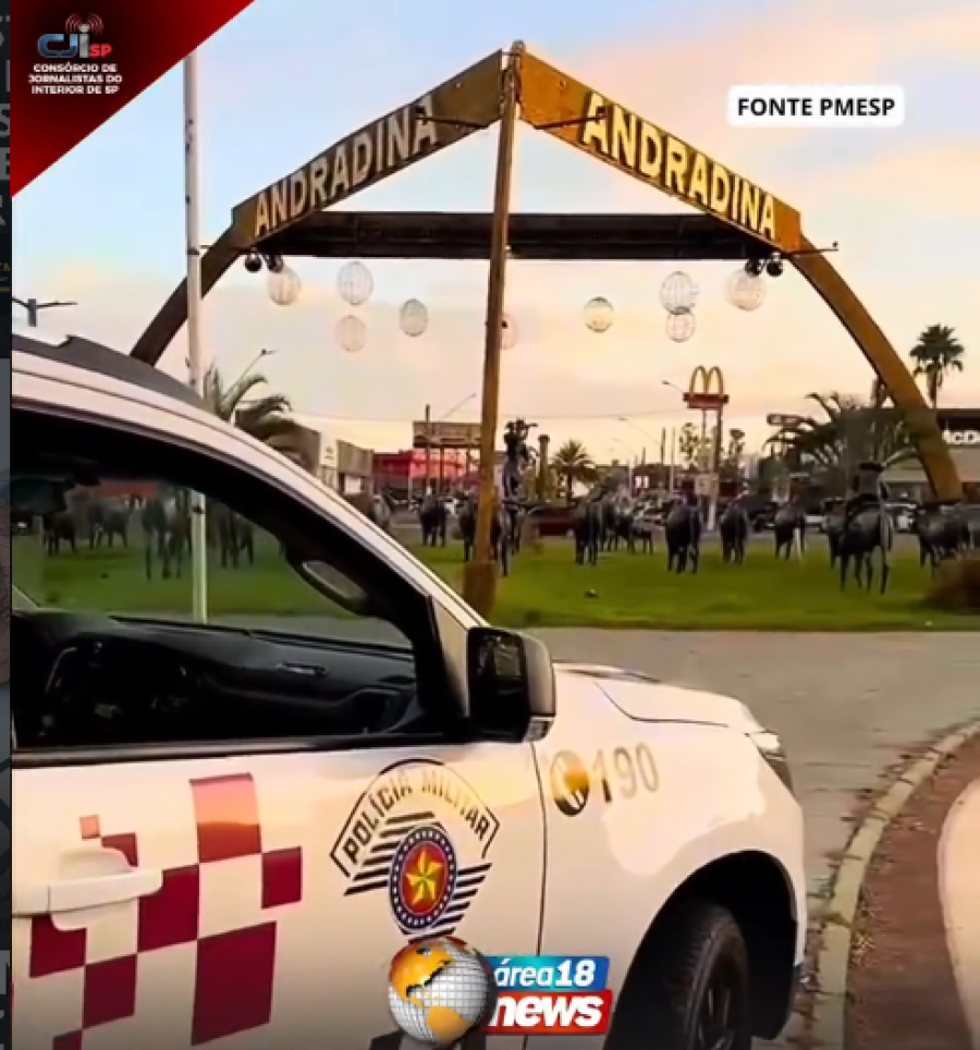 POLICIAMENTO INTELIGENTE: OPERAÇÃO MURALHA PAULISTA DESTACA USO DE TECNOLOGIA EM ANDRADINA
