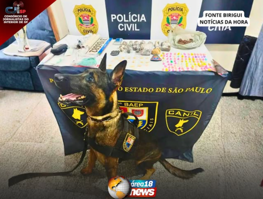 CÃO FAREJADOR DO BAEP AJUDA NA PRISÃO DE SUSPEITOS POR TRÁFICO EM VALPARAÍSO DURANTE OPERAÇÃO NARCOZERO