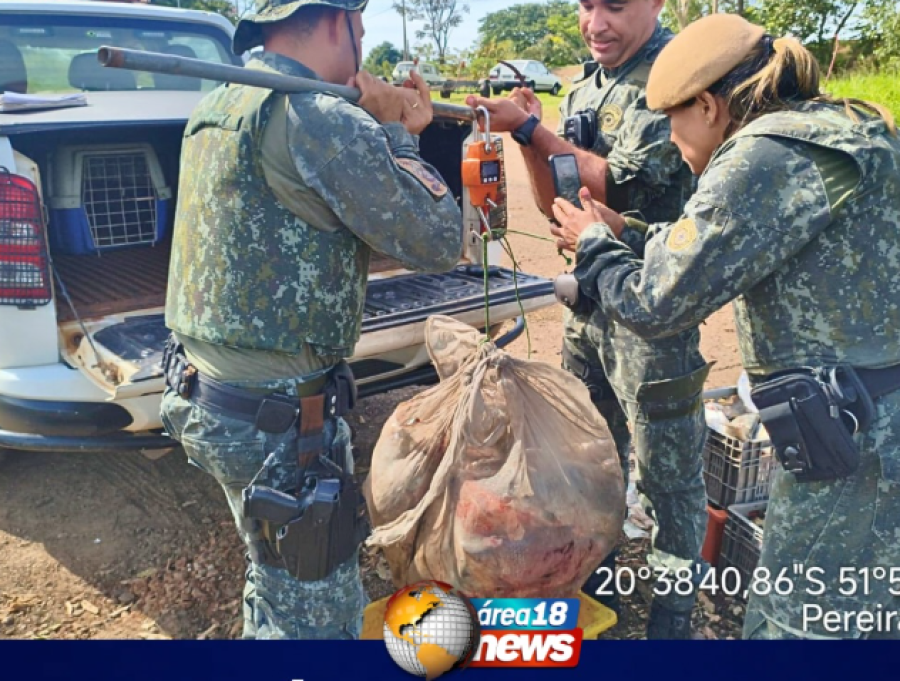 POLÍCIA AMBIENTAL APREENDE 3 MIL METROS DE REDES E MAIS DE 140 KG DE PEIXES EM PEREIRA BARRETOPOLÍCIA AMBIENTAL APREENDE 3 MIL METROS DE REDES E MAIS DE 140 KG DE PEIXES EM PEREIRA BARRETO