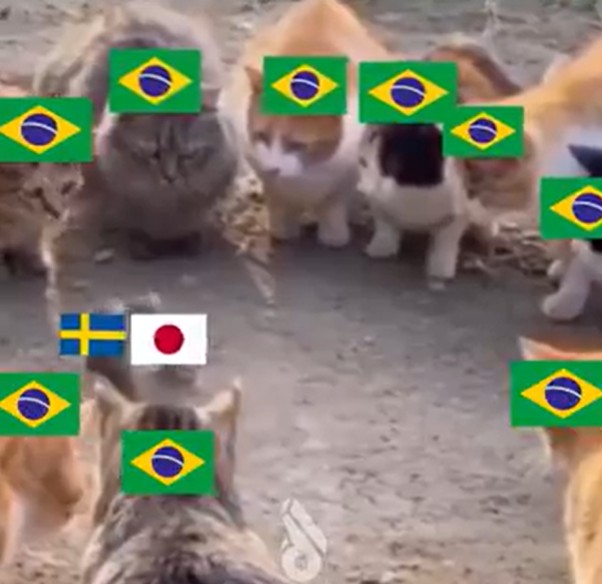 Japão x Suécia: veja memes do empate que definiu o próximo adversário do Brasil