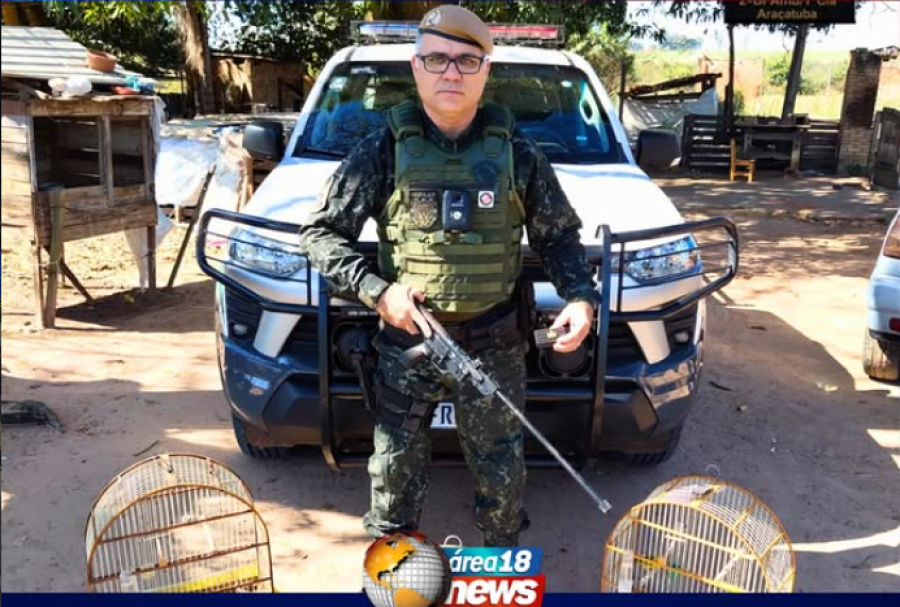 POLÍCIA AMBIENTAL PRENDE HOMEM E APREENDE ARMA ADAPTADA E AVES SILVESTRES EM BARBOSA