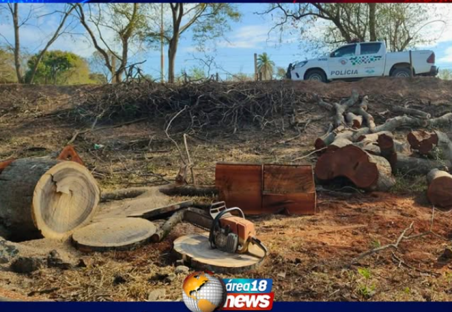 POLÍCIA AMBIENTAL APREENDE MOTOSSERRA UTILIZADA SEM LICENÇA EM GLICÉRIO